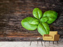 Load image into Gallery viewer, Photo Wallpaper Basil leaf in XXL
