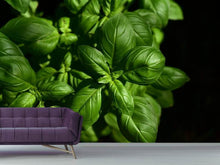 Load image into Gallery viewer, Photo Wallpaper Basil in XL
