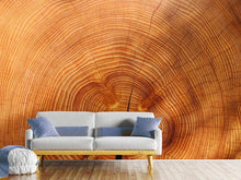 Load image into Gallery viewer, Photo Wallpaper tree rings
