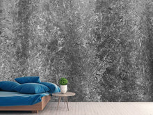 Load image into Gallery viewer, Photo Wallpaper Concrete abstract
