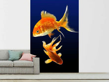 Load image into Gallery viewer, Photo Wallpaper Charming fish
