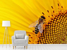 Load image into Gallery viewer, Photo Wallpaper Bee on the sunflower
