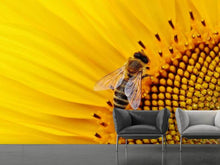 Load image into Gallery viewer, Photo Wallpaper Bee on the sunflower
