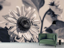 Load image into Gallery viewer, Photo Wallpaper Bees on the sunflower sw
