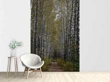 Load image into Gallery viewer, Photo Wallpaper Birch avenue
