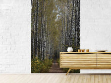 Load image into Gallery viewer, Photo Wallpaper Birch avenue
