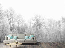 Load image into Gallery viewer, Photo Wallpaper Birches in the snow
