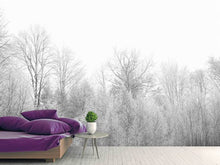 Load image into Gallery viewer, Photo Wallpaper Birches in the snow
