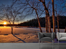 Load image into Gallery viewer, Photo Wallpaper Birches in the sunset
