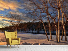 Load image into Gallery viewer, Photo Wallpaper Birches in the winter
