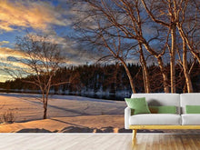 Load image into Gallery viewer, Photo Wallpaper Birches in the winter
