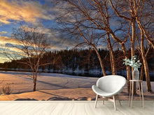 Load image into Gallery viewer, Photo Wallpaper Birches in the winter
