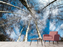 Load image into Gallery viewer, Photo Wallpaper birch crowns
