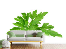 Load image into Gallery viewer, Photo Wallpaper Leaves of parsley
