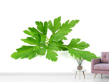 Load image into Gallery viewer, Photo Wallpaper Leaves of parsley
