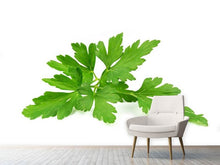 Load image into Gallery viewer, Photo Wallpaper Leaves of parsley

