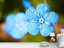 Load image into Gallery viewer, Photo Wallpaper Blue flower with morning dew

