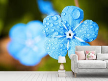Load image into Gallery viewer, Photo Wallpaper Blue flower with morning dew

