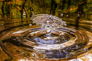 Photo Wallpaper blubb