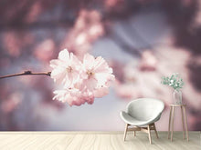 Load image into Gallery viewer, Photo Wallpaper Flower XL
