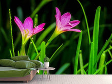 Load image into Gallery viewer, Photo Wallpaper Flowers in nature
