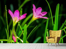 Load image into Gallery viewer, Photo Wallpaper Flowers in nature
