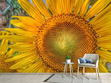 Load image into Gallery viewer, Photo Wallpaper Inflorescence of a sunflower
