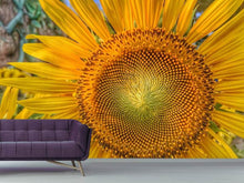 Load image into Gallery viewer, Photo Wallpaper Inflorescence of a sunflower
