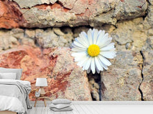Load image into Gallery viewer, Photo Wallpaper Flower in the wall
