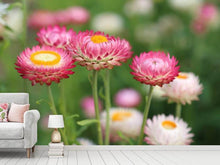 Load image into Gallery viewer, Photo Wallpaper Flowers of spring
