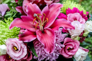 Photo Wallpaper Bouquet with lily