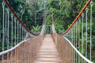Photo Wallpaper Bridge for the brave
