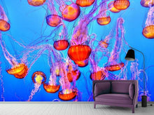 Load image into Gallery viewer, Photo Wallpaper Colorful jellyfish
