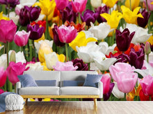 Load image into Gallery viewer, Photo Wallpaper Colorful tulip field

