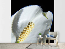 Load image into Gallery viewer, Photo Wallpaper Calla Close up in white
