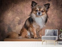 Load image into Gallery viewer, Photo Wallpaper Chihuahua portrait
