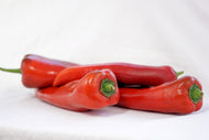 Photo Wallpaper Chilis
