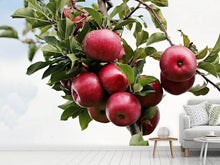 Load image into Gallery viewer, Photo Wallpaper Close up apple tree
