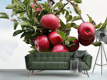 Load image into Gallery viewer, Photo Wallpaper Close up apple tree
