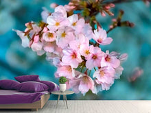 Load image into Gallery viewer, Photo Wallpaper Close up flower
