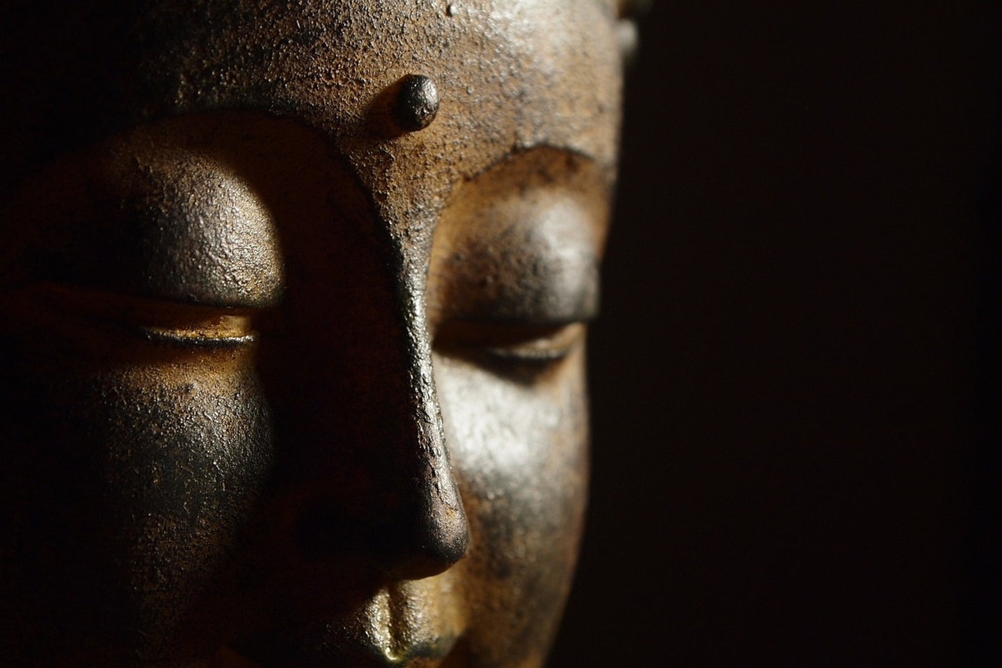 Photo Wallpaper Close up Buddha head