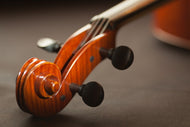 Photo Wallpaper Close up violin