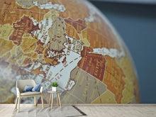 Load image into Gallery viewer, Photo Wallpaper Close up globe

