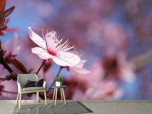 Load image into Gallery viewer, Photo Wallpaper Close up cherry blossom
