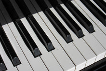 Load image into Gallery viewer, Photo Wallpaper Close up piano
