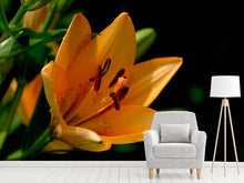 Load image into Gallery viewer, Photo Wallpaper Close up lily in orange
