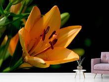 Load image into Gallery viewer, Photo Wallpaper Close up lily in orange
