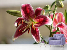 Load image into Gallery viewer, Photo Wallpaper Close up lily in red
