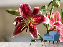Load image into Gallery viewer, Photo Wallpaper Close up lily in red
