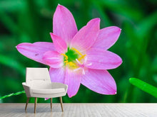 Load image into Gallery viewer, Photo Wallpaper Close up of pink blossom
